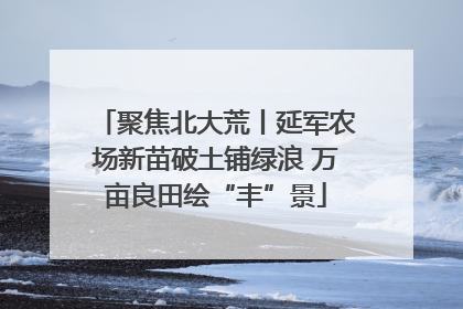聚焦北大荒丨延军农场新苗破土铺绿浪 万亩良田绘“丰”景