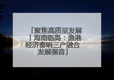 聚焦高质量发展丨海南临高：渔港经济奏响三产融合发展强音