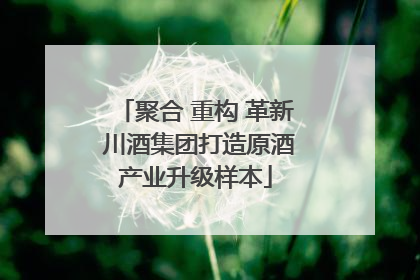 聚合 重构 革新 川酒集团打造原酒产业升级样本
