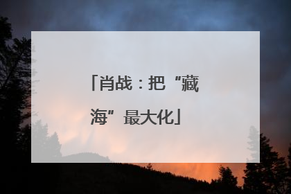 肖战：把“藏海”最大化