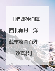 肥城孙伯镇西北角村：洋葱丰收圆百姓致富梦