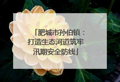 肥城市孙伯镇：打造生态河道筑牢汛期安全防线
