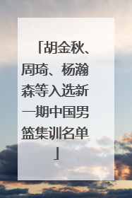 胡金秋、周琦、杨瀚森等入选新一期中国男篮集训名单