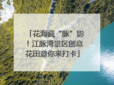 花海藏“豚”影！江豚湾景区创意花田邀你来打卡