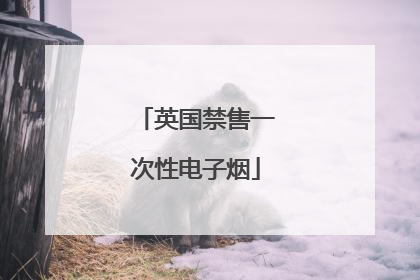 英国禁售一次性电子烟