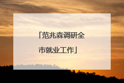 范兆森调研全市就业工作