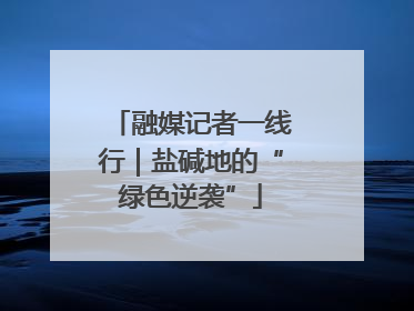 融媒记者一线行｜盐碱地的“绿色逆袭”