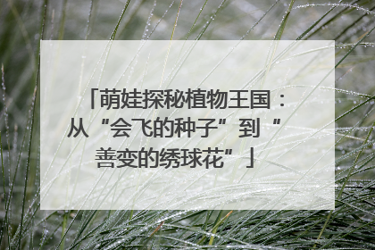 萌娃探秘植物王国：从“会飞的种子”到“善变的绣球花”