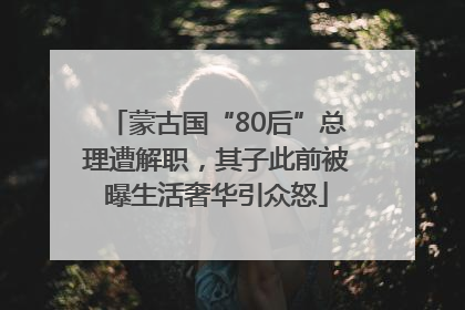 蒙古国“80后”总理遭解职，其子此前被曝生活奢华引众怒