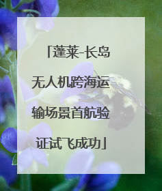 蓬莱-长岛无人机跨海运输场景首航验证试飞成功