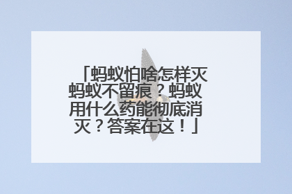 蚂蚁怕啥怎样灭蚂蚁不留痕？蚂蚁用什么药能彻底消灭？答案在这！