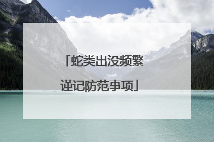 蛇类出没频繁 谨记防范事项