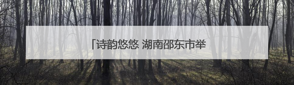 诗韵悠悠 湖南邵东市举行第五届端午音乐诗会