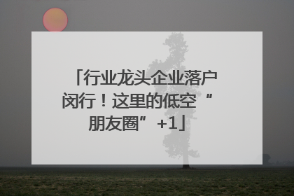 行业龙头企业落户闵行！这里的低空“朋友圈”+1