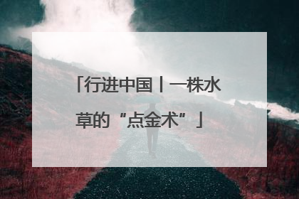 行进中国丨一株水草的“点金术”