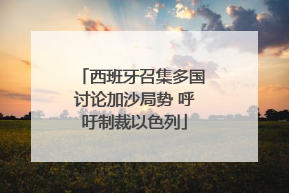 西班牙召集多国讨论加沙局势 呼吁制裁以色列
