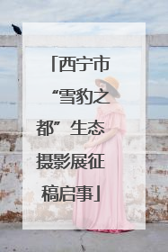西宁市“雪豹之都”生态摄影展征稿启事