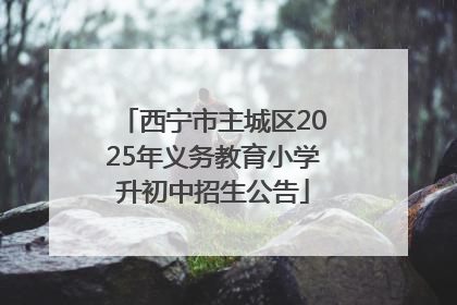 西宁市主城区2025年义务教育小学升初中招生公告