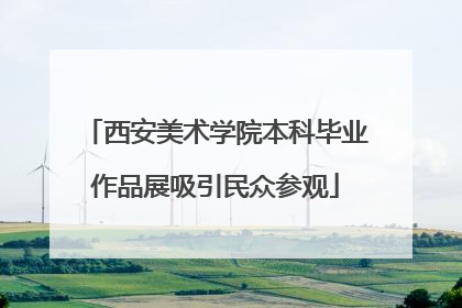 西安美术学院本科毕业作品展吸引民众参观