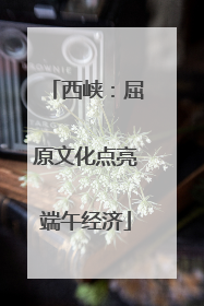 西峡：屈原文化点亮端午经济