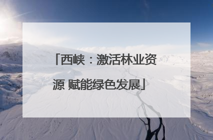 西峡：激活林业资源 赋能绿色发展