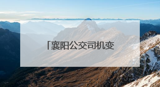 襄阳公交司机变身“文曲星” 连续3年高考送考