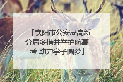 襄阳市公安局高新分局多措并举护航高考 助力学子圆梦