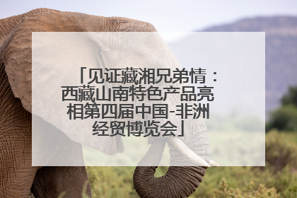 见证藏湘兄弟情：西藏山南特色产品亮相第四届中国-非洲经贸博览会