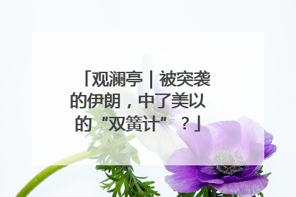 观澜亭｜被突袭的伊朗，中了美以的“双簧计”？