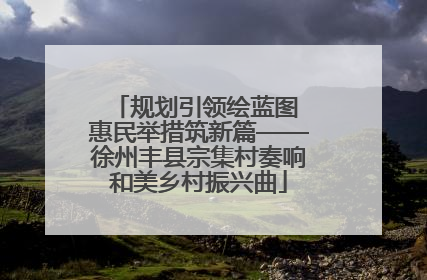 规划引领绘蓝图 惠民举措筑新篇——徐州丰县宗集村奏响和美乡村振兴曲