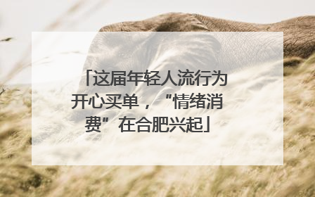 这届年轻人流行为开心买单，“情绪消费”在合肥兴起