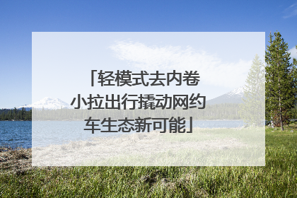 轻模式去内卷 小拉出行撬动网约车生态新可能