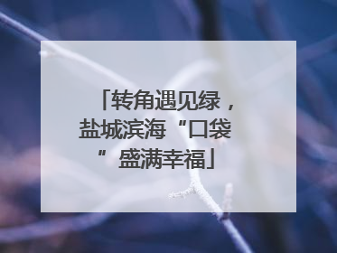 转角遇见绿，盐城滨海“口袋”盛满幸福