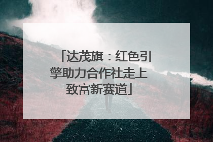 达茂旗：红色引擎助力合作社走上致富新赛道