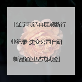 辽宁制造再度刷新行业纪录 沈变公司自研新品通过型式试验