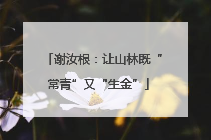 谢汝根：让山林既“常青”又“生金”