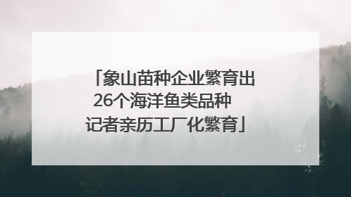 象山苗种企业繁育出26个海洋鱼类品种 记者亲历工厂化繁育