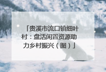 贵溪市流口镇细叶村：盘活闲置资源助力乡村振兴（图）