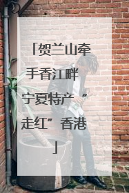 贺兰山牵手香江畔 宁夏特产“走红”香港