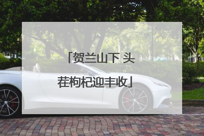 贺兰山下 头茬枸杞迎丰收