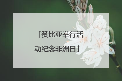 赞比亚举行活动纪念非洲日