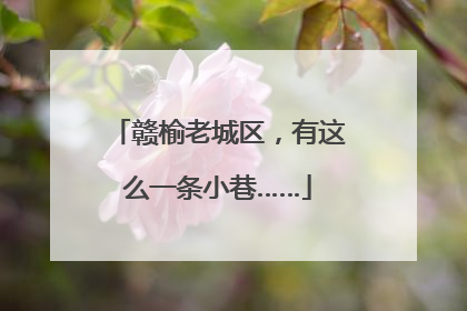 赣榆老城区，有这么一条小巷……