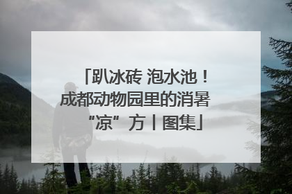 趴冰砖 泡水池！成都动物园里的消暑“凉”方丨图集