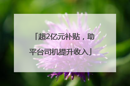 超2亿元补贴，助平台司机提升收入