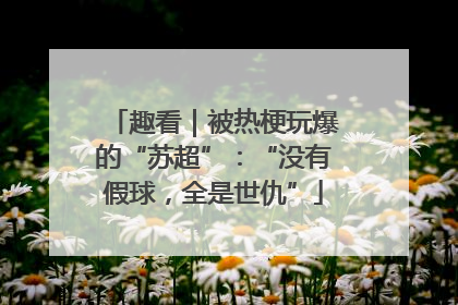趣看｜被热梗玩爆的“苏超”：“没有假球，全是世仇”