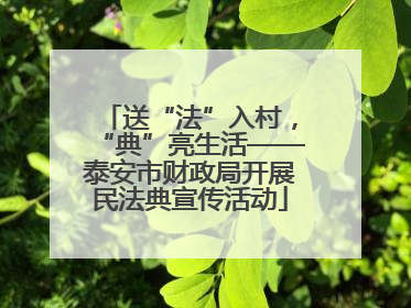 送“法”入村，“典”亮生活——泰安市财政局开展民法典宣传活动