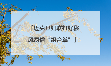 逊克县妇联打好移风易俗“组合拳”