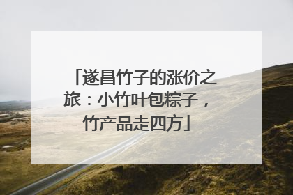 遂昌竹子的涨价之旅：小竹叶包粽子，竹产品走四方
