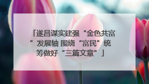 遂昌谋实建强“金色共富”发展轴 围绕“富民”统筹做好“三篇文章”
