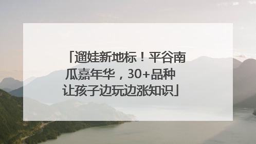 遛娃新地标！平谷南瓜嘉年华，30+品种让孩子边玩边涨知识